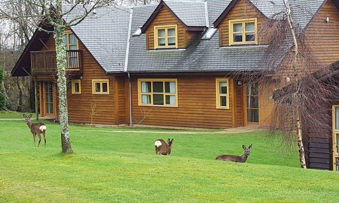 Balmaha Villa | Culzean Diamond Lodge with hot tub and sauna