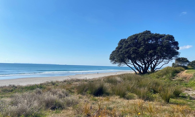 Omanu House | Cute and original easy care beach house.
