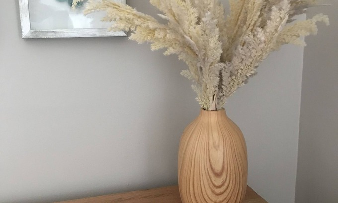 Lincoln House | Cute Litte Bungalow in the heart of Lincoln!