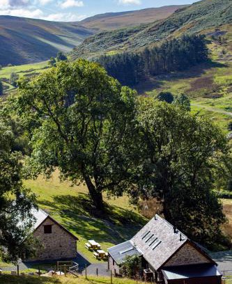 Rhayader House | Cwm Clyd - Carthouse