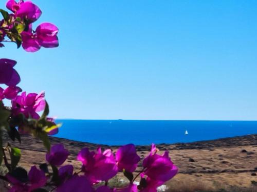 Azolimnos House | Cycladic Horizon View