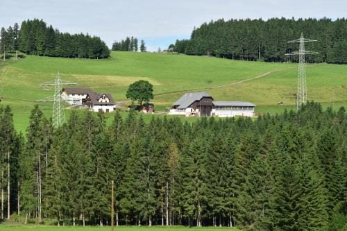 Breitnau Apartment | Dürrenbartleshof