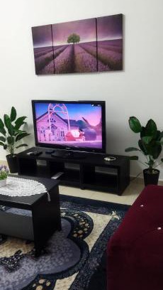 Kampung Salak Tinggi Apartment | D'Zara Homestay