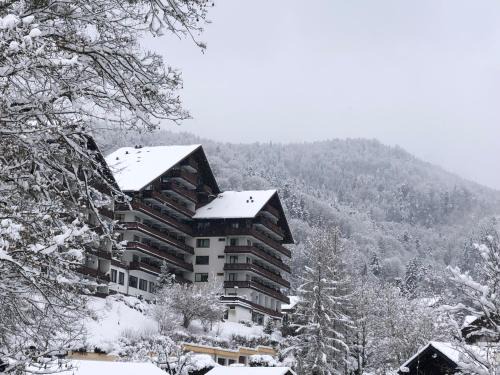 Bad Goisern Apartment | Dachstein 529