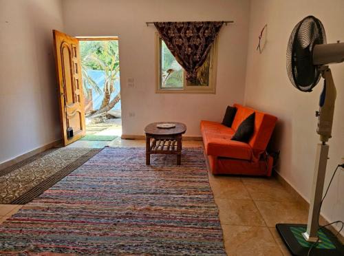 Dahab Apartment | Dahab Cozy Desert Retreat with Private Courtyard