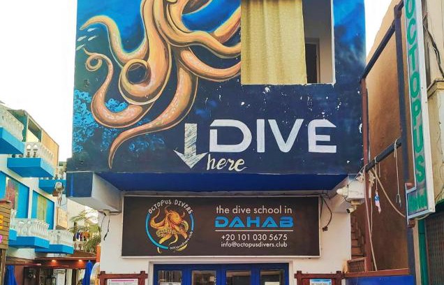 Dahab Apartment | Dahab House Octopus apartment