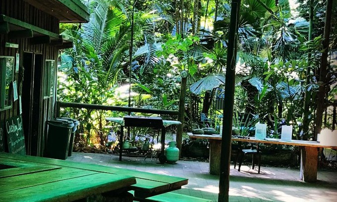 Cow Bay Cabin | Daintree Crocodylus