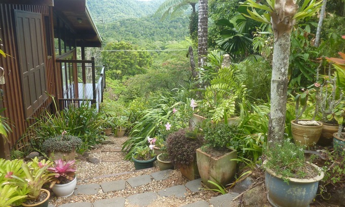 Diwan House | Daintree Holiday Homes - The Folly - Nature Retreat Daintree