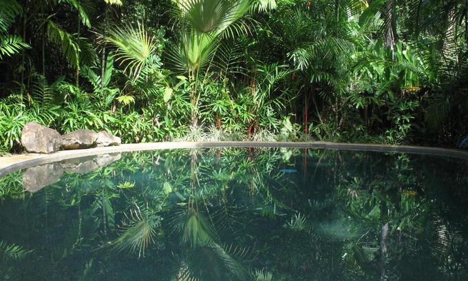 Cow Bay Cabin | Daintree Rainforest Retreat Motel