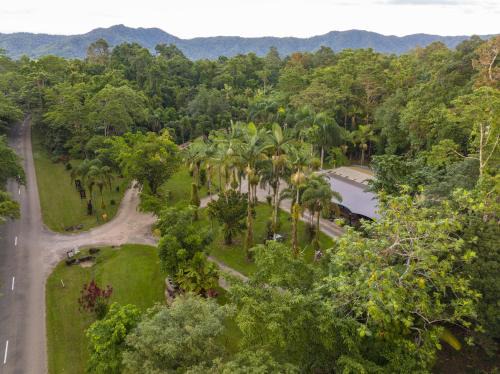 Diwan Cabin | Daintree Siesta
