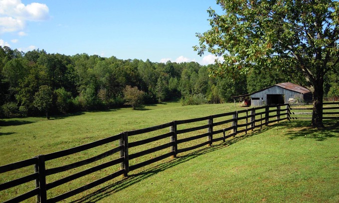 Frogue House | Dale Hollow Cabin Next To State Park With Free Fire Pit & COVERED Boat Slip