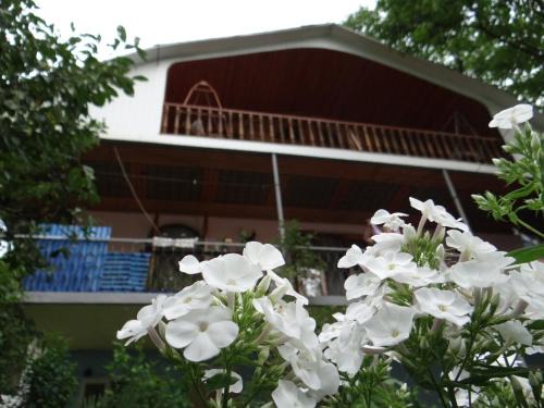 Borjomi House | Dalko