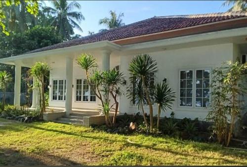 Krui House | Damar Tree Resort Krui