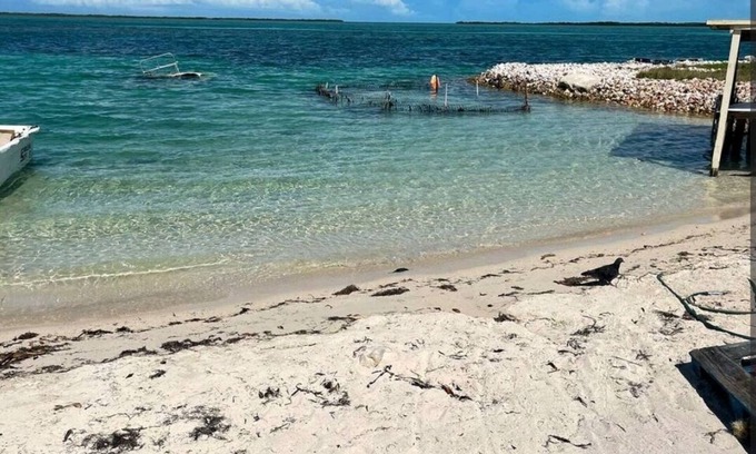 Alice Town House | Dames Getaway Bimini