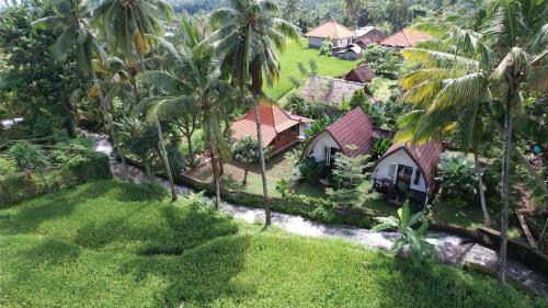 Sukasada House | Damuh Pertivi, River and Rice Fields View