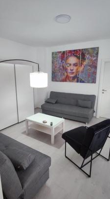 Gornji Milanovac Apartment | Danka