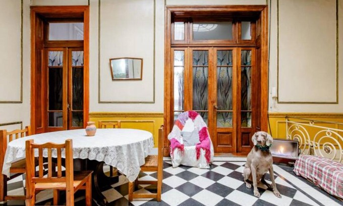Constitucion Hostel | Dante y compañía