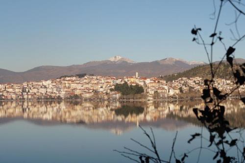 Kastoria Apartment | Daphne Luxury Apartment