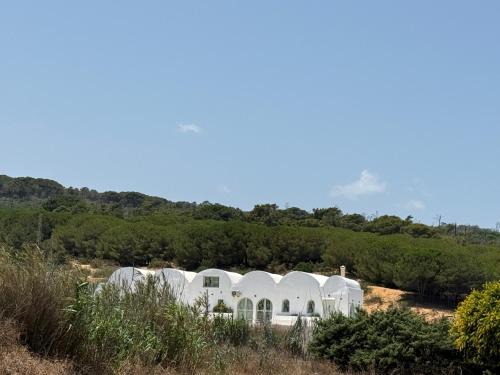 Aousja Other | Dar Darek