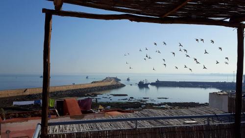 El Jadida Apartment | Dar lhadja