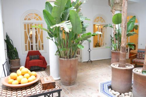 Kasbah House | Dar Loulema
