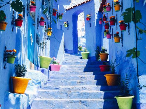 Medina of Chefchaouen Apartment | Dar Mdaqa