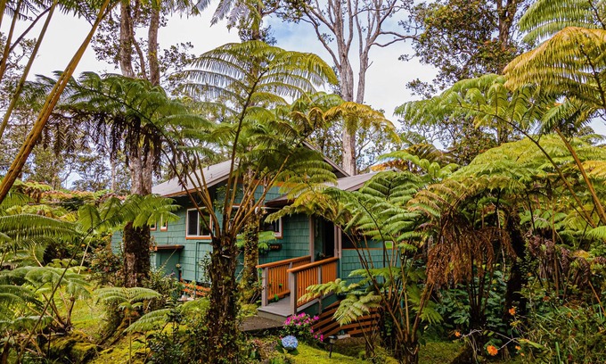 Royal Hawaiian Estates Cottage | Darling, Private Cottage Near Hawaii Volcanoes Nat'l Park