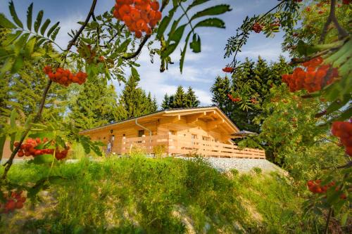 Mauth Ski Chalet | Das Wistlberg Wohlfühlchalet
