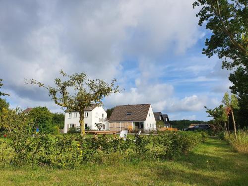 Oostkapelle House | De Bonte beleving