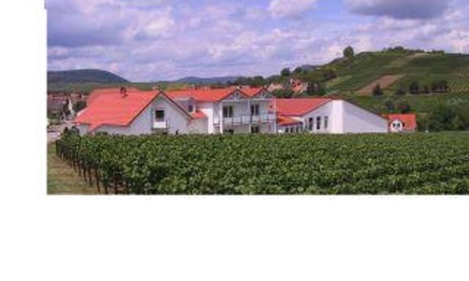 Ilbesheim Bed & Breakfast | Double Room Shower/WC "207" - Weingut-Gästehaus Hans Dieter Bosch