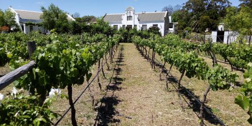 Riviersonderend House | de Kleine Kelder