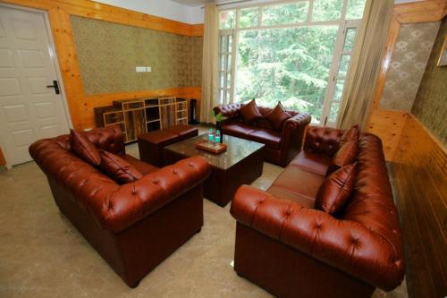 Shimla Apartment | Decent BnB Shimla ! Pine trees View