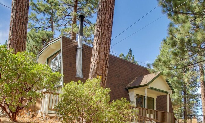 Summit Estates Cabin | Decorated for Christmas! Walk to Snow Summit! Pet friendly!