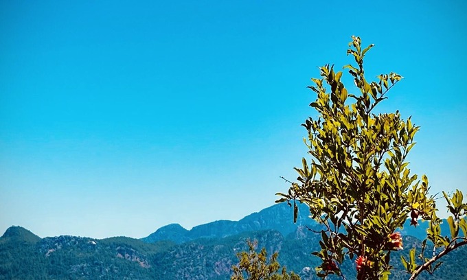 Selimiye Apartment | Defne Residence Selimiye. The elegant address for holiday