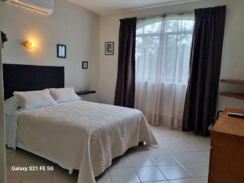 La Cruz de Huanacaxtle Other | Delfin bnb