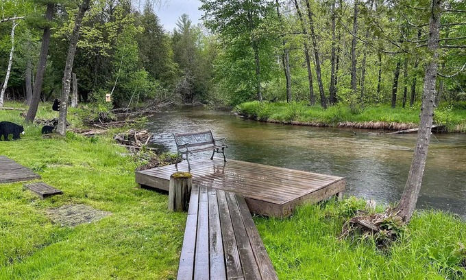 Irons Cabin | Deluxe Little Manistee River Cabin - Irons, MI