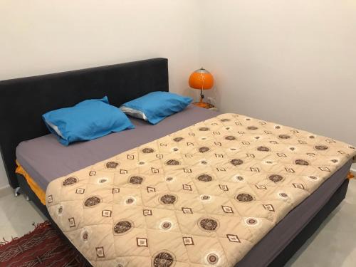 Algiers Bed & Breakfast | Delybrahim chambre