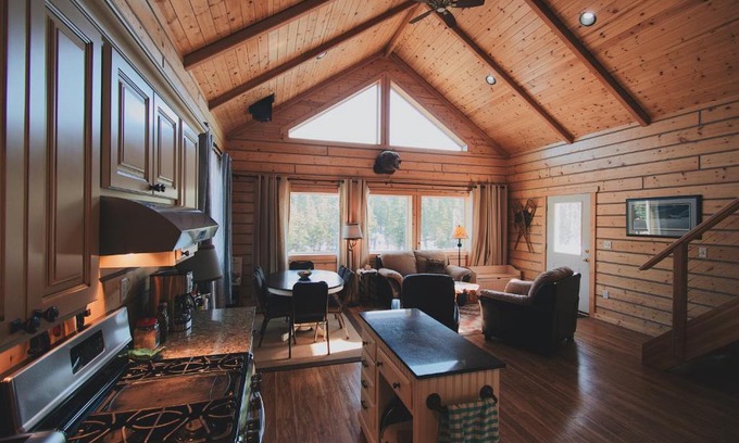 Healy House | Denali Wild Stay - Bear Cabin with Hot Tub and Free Wifi, Private, sleep 6