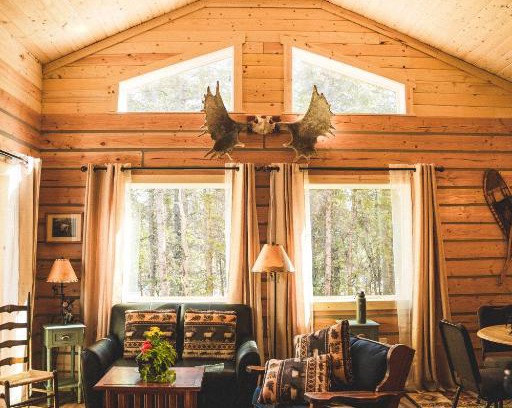 Healy House | Denali Wild Stay - Moose Cabin, Free Wifi, 2 private bedrooms, sleep 6