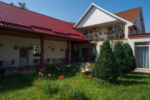 Tasnad House | Denisa & Rares