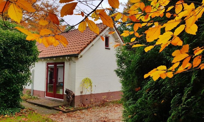 Vaassen House | Dennenhuis