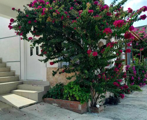 Qafe e Gjashtes House | Denni’s Home