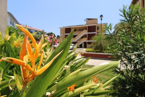 Crucecita Apartment | Depa Calpan