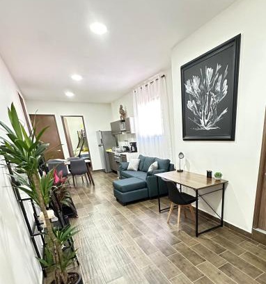 Roma Sur Apartment | Departamento Roma 2 CDMX