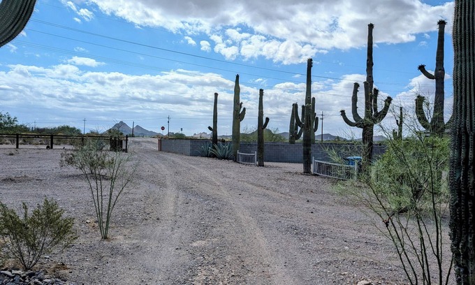 Tucson Estates House | Desert Gem on 1 Acre 2bed/1 bath