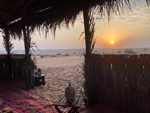 Bidiya Other | Desert Moments Camp