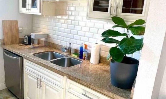 Coral Gables House | Digital Nomad Boho House -UM walking