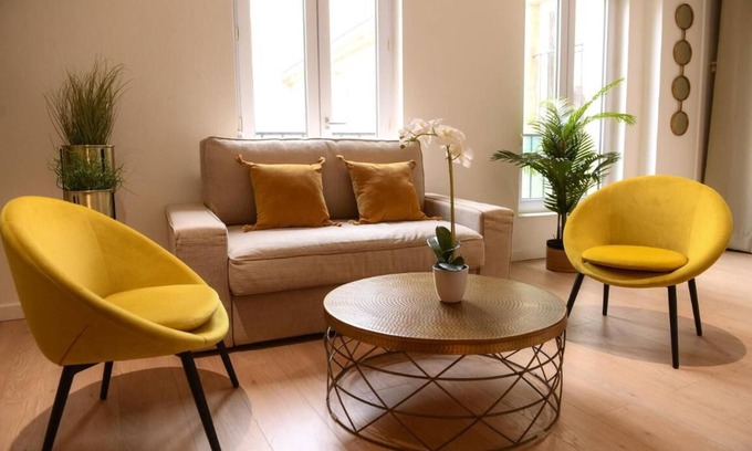 Faubourg Sud Apartment | Dijon Hyper Centre : Apartment 41m² Facing Museum, Monuments and Restaurants