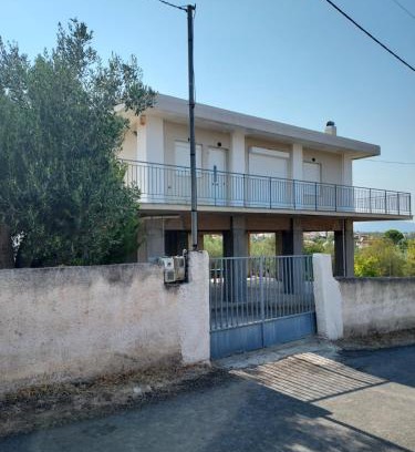 Chalcis House | Dimitri's house