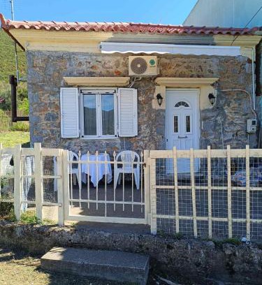 Megalopolis House | Dina's House